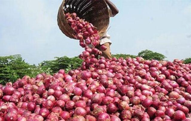 Spéculation - Sénégal: le prix de l’oignon a connu une réduction de 40%